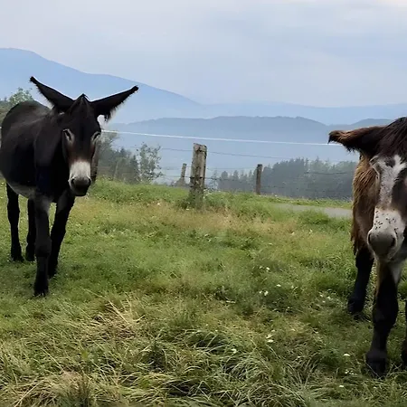 Casa vacanze Almhuette - Esel Huam